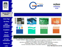 Tablet Screenshot of fratelligalli.com